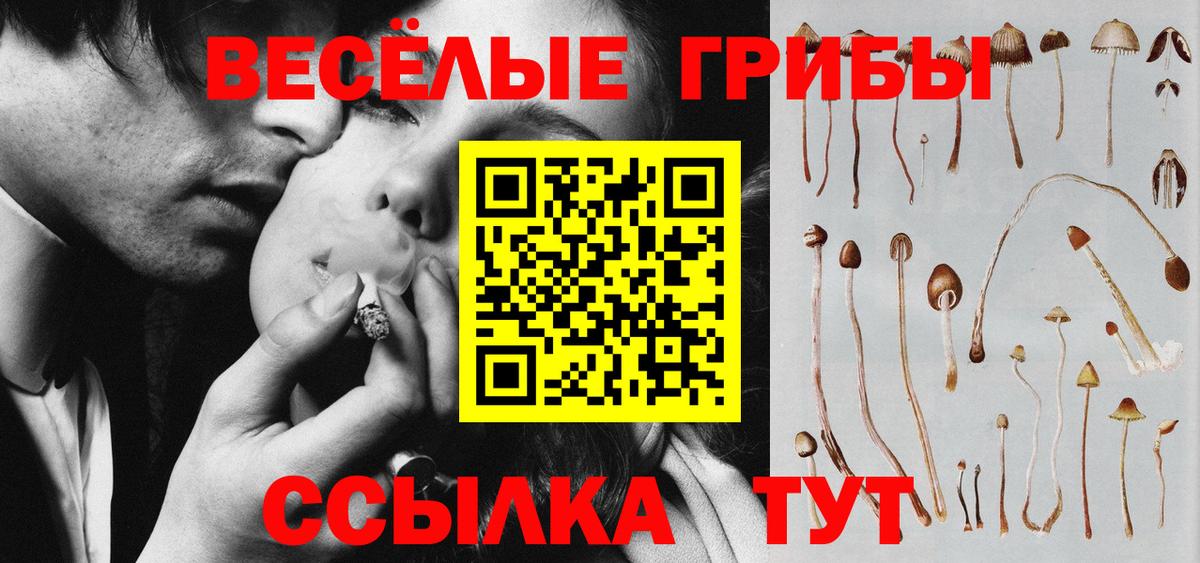 Псилоцибиновые грибы Psilocybe Учалы
