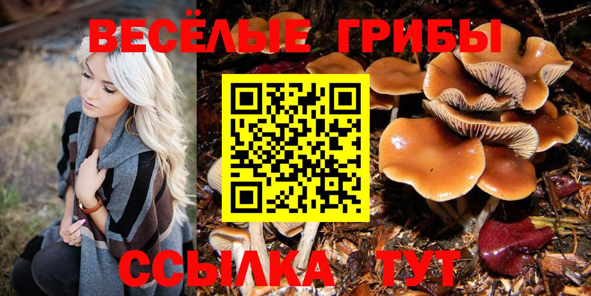 Учалы  Псилоцибиновые грибы мицелий  Галлюциногенные грибы ЛСД  Вход с VPN 